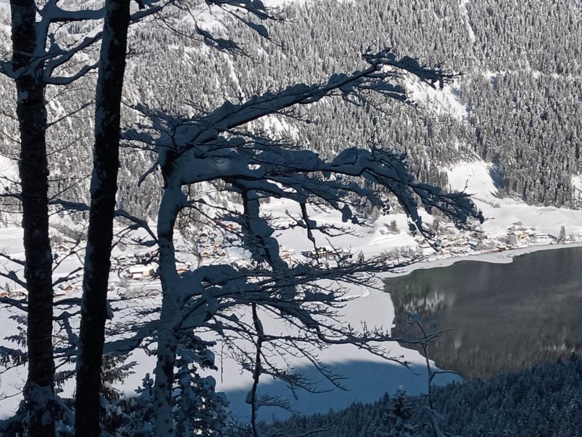 Landhaus Vogel Daire Weissensee Dış mekan fotoğraf