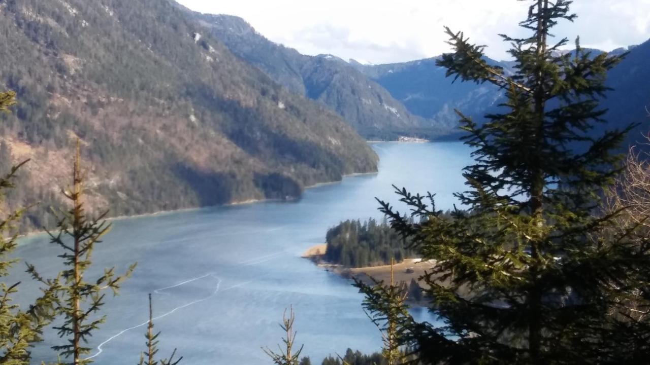 Landhaus Vogel Daire Weissensee Dış mekan fotoğraf