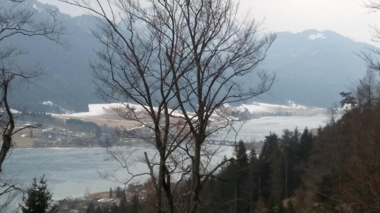 Landhaus Vogel Daire Weissensee Dış mekan fotoğraf