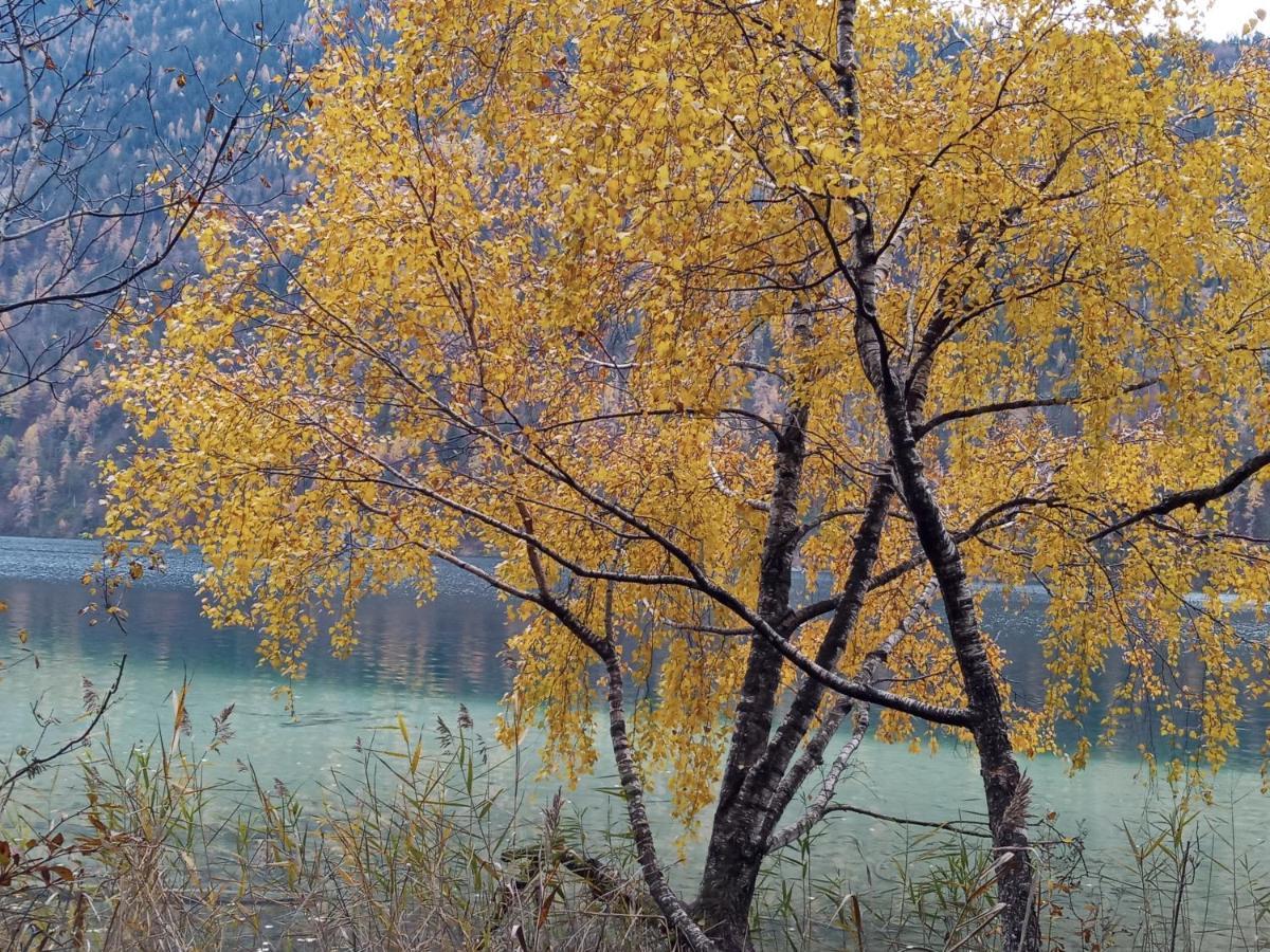 Landhaus Vogel Daire Weissensee Dış mekan fotoğraf