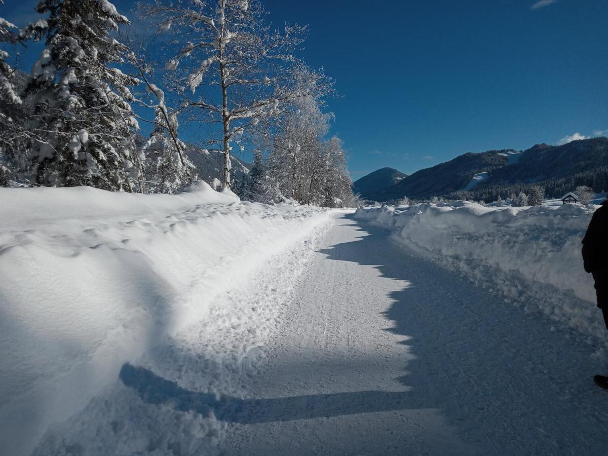 Landhaus Vogel Daire Weissensee Dış mekan fotoğraf