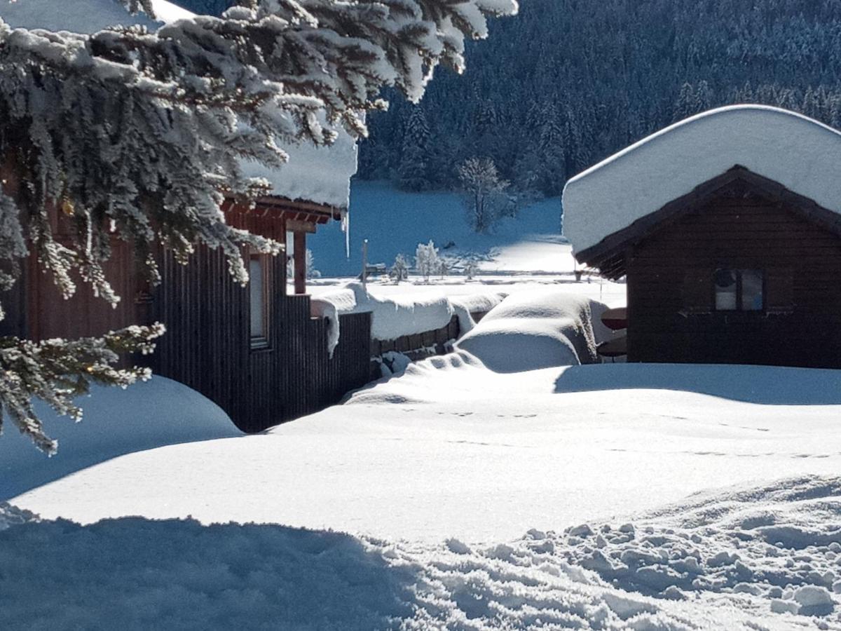 Landhaus Vogel Daire Weissensee Dış mekan fotoğraf