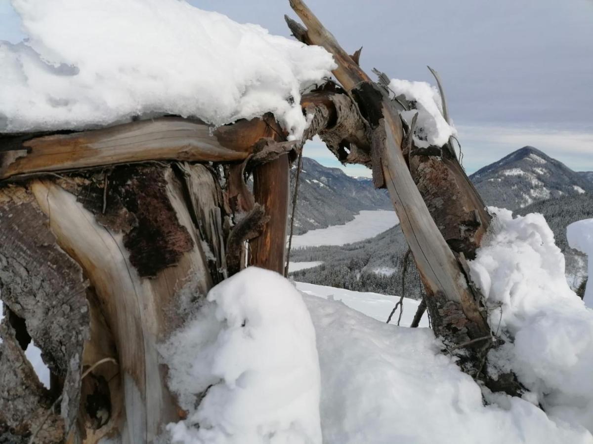 Landhaus Vogel Daire Weissensee Dış mekan fotoğraf