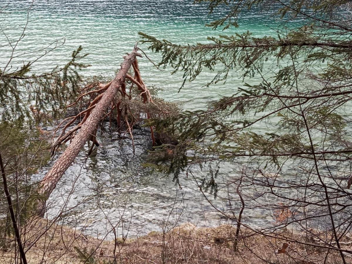 Landhaus Vogel Daire Weissensee Dış mekan fotoğraf