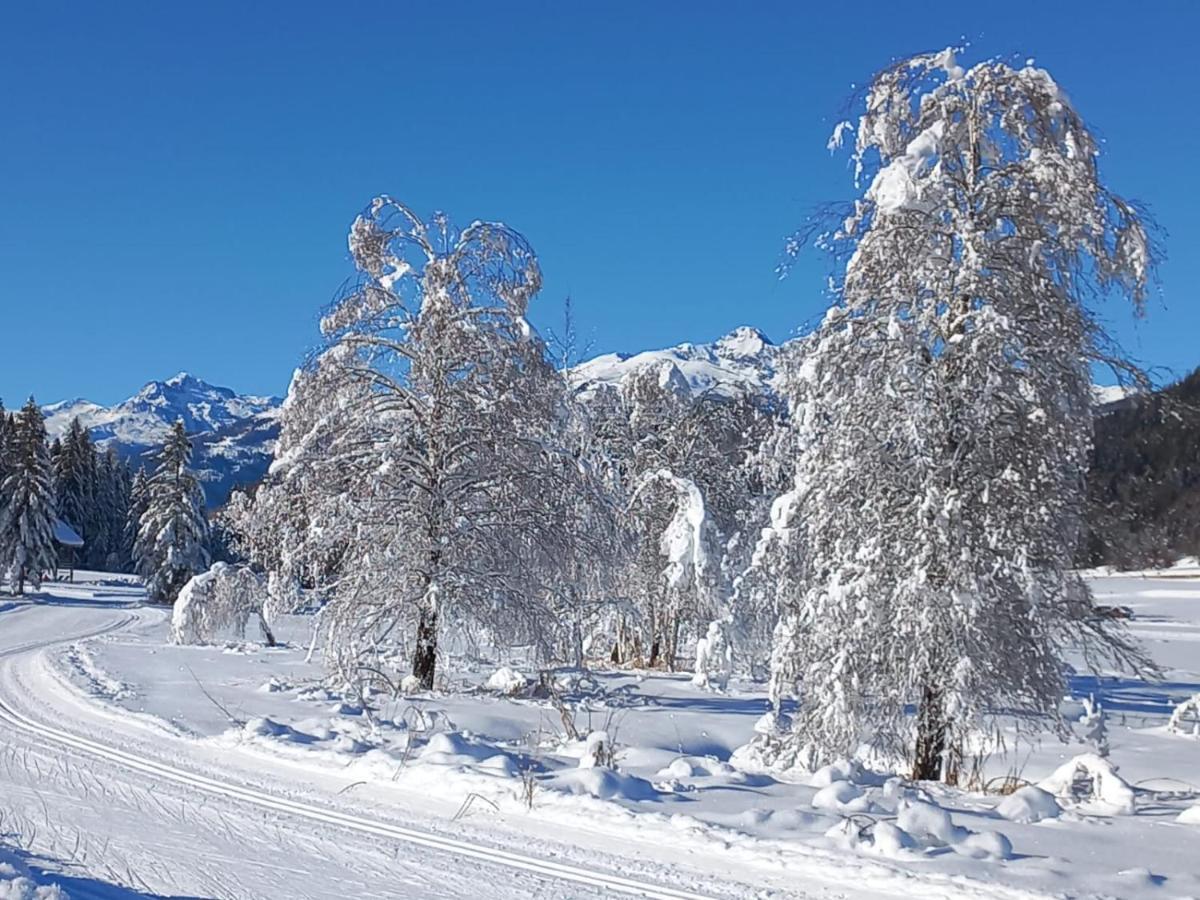 Landhaus Vogel Daire Weissensee Dış mekan fotoğraf