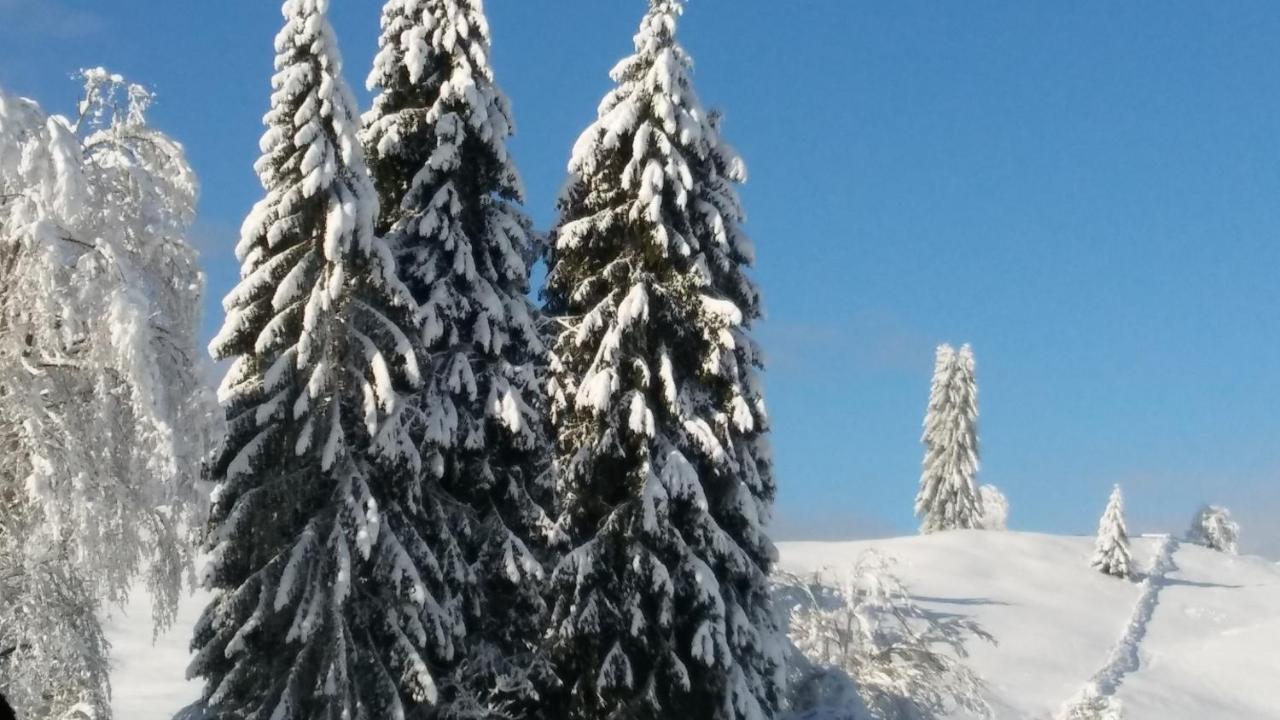 Landhaus Vogel Daire Weissensee Dış mekan fotoğraf