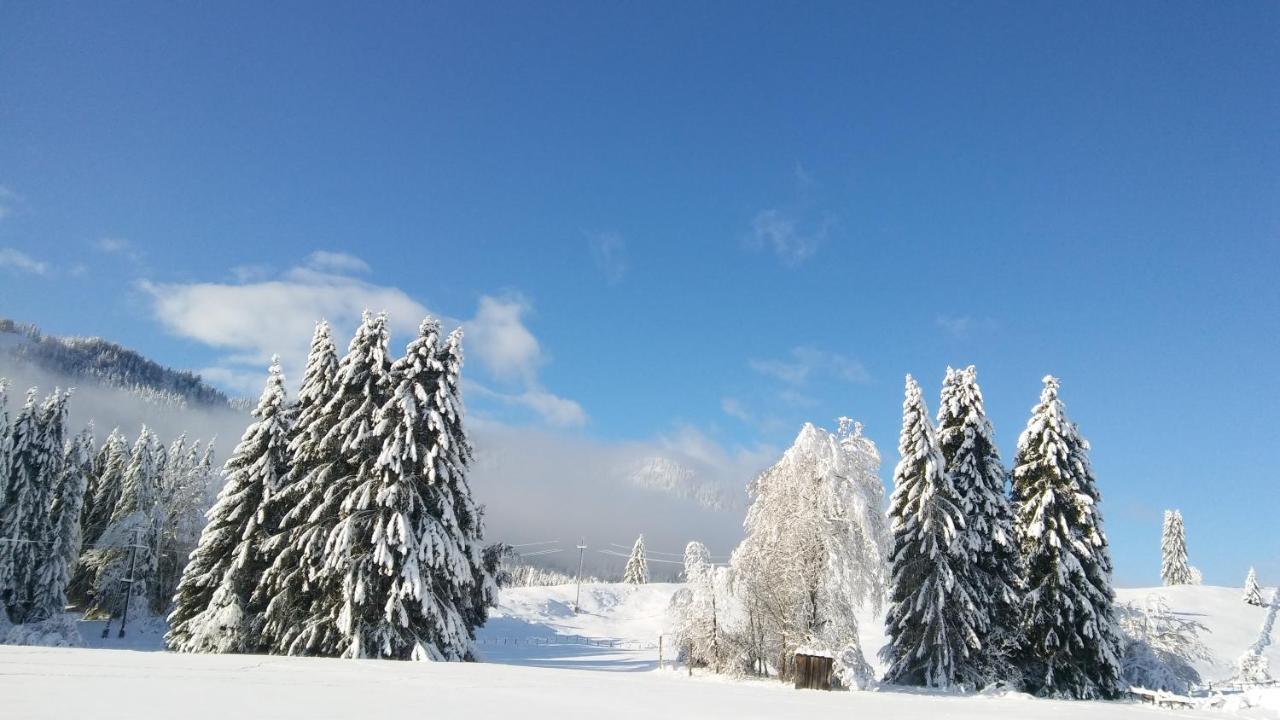 Landhaus Vogel Daire Weissensee Dış mekan fotoğraf