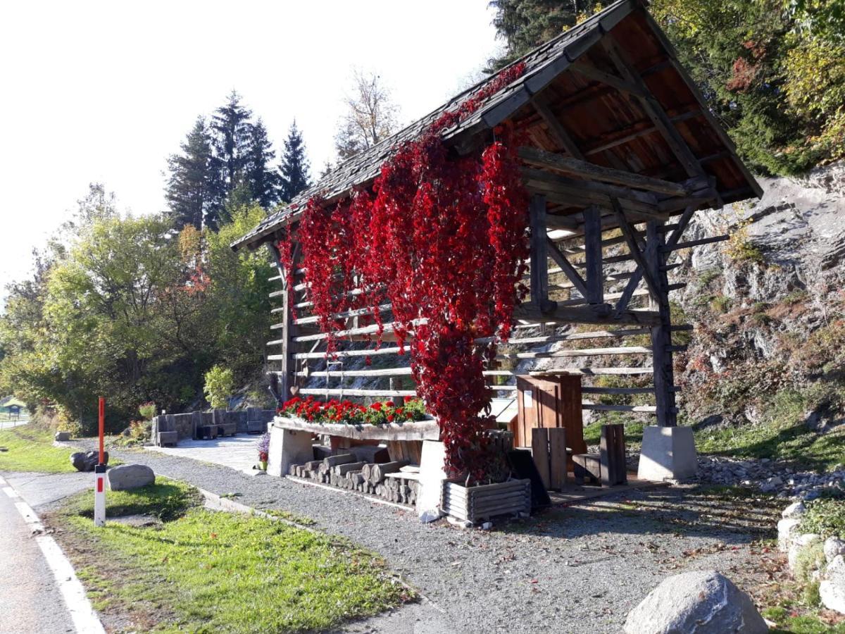 Landhaus Vogel Daire Weissensee Dış mekan fotoğraf