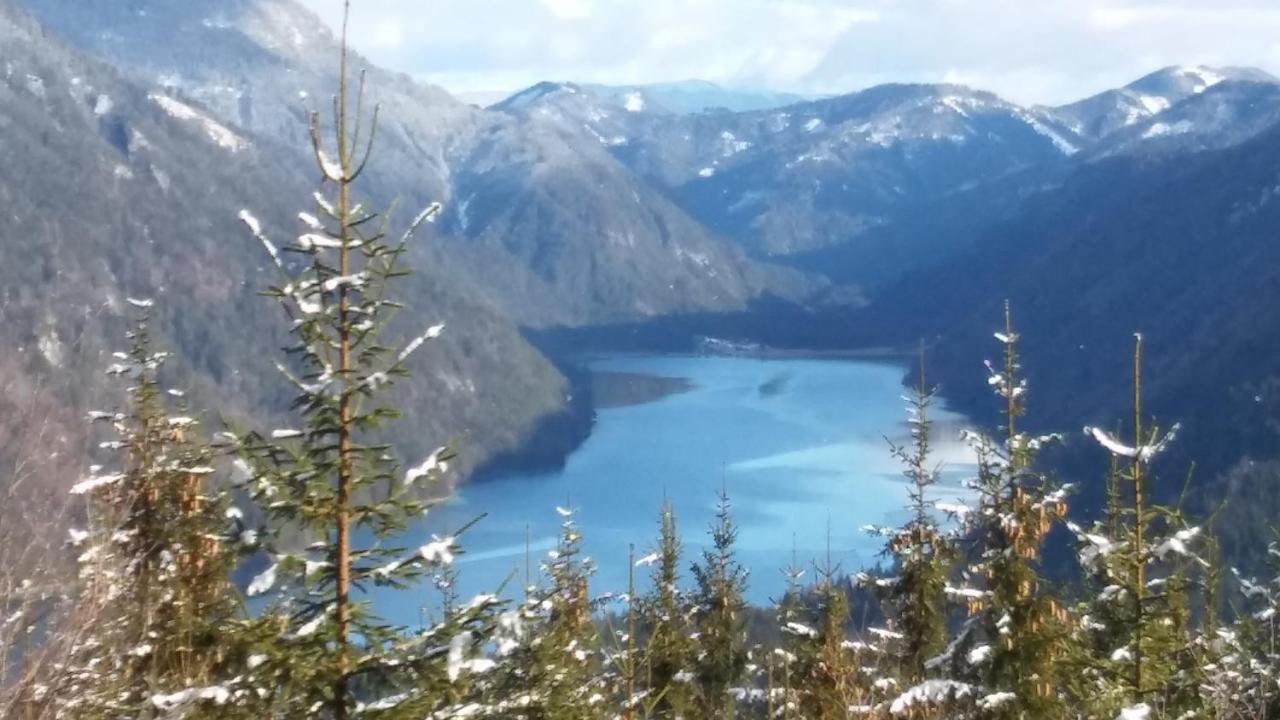 Landhaus Vogel Daire Weissensee Dış mekan fotoğraf