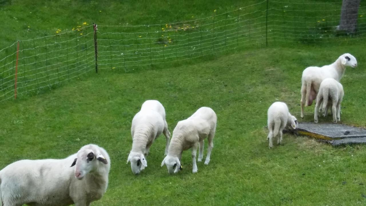 Landhaus Vogel Daire Weissensee Dış mekan fotoğraf